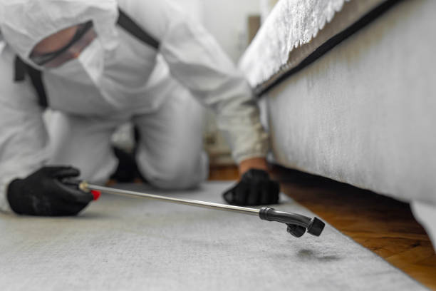 Professional Termite Control technician working in Comer, GA