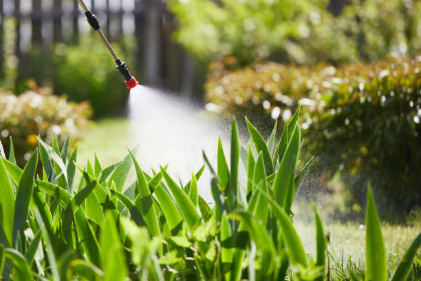 24/7 Emergency Termite Control experts in Comer, GA