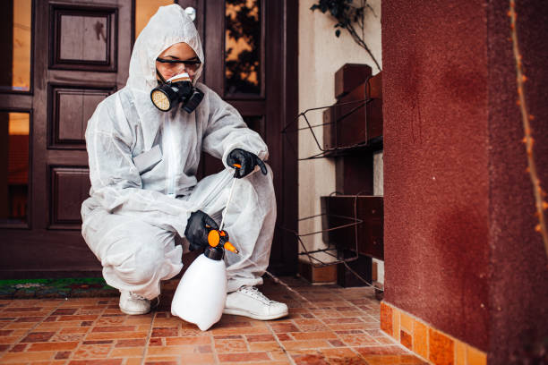 Reliable Termite Control contractor in Comer, GA by Nex Pest Control